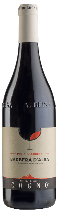 Elvio Cogno Barbera d'Alba Pre-Phylloxera