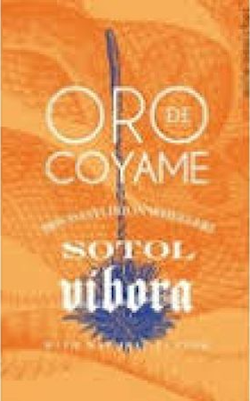 Oro De Coyame Sotol Vibora / Dasylirion Wheeleri