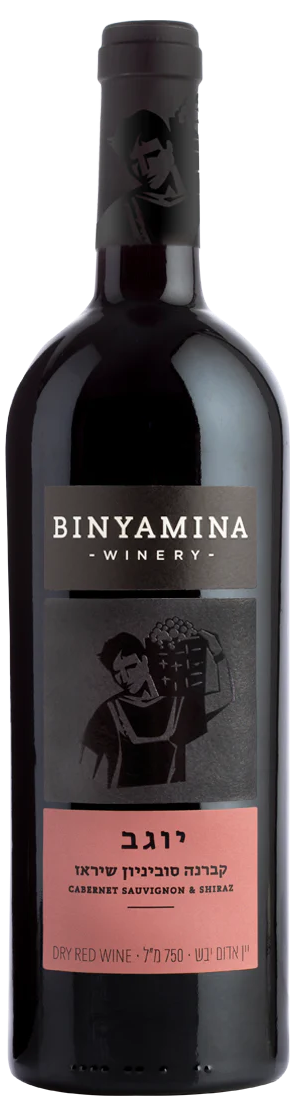 Binyamina Cabernet Sauvignon - Shiraz Yogev