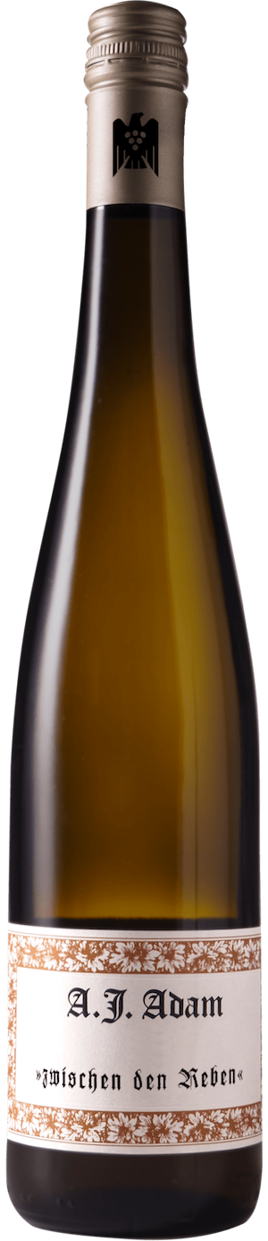 A.J. Adam White Blend Zwischen Den Reben Trocken A.J. Adam White Blend Zwischen Den Reben Trocken