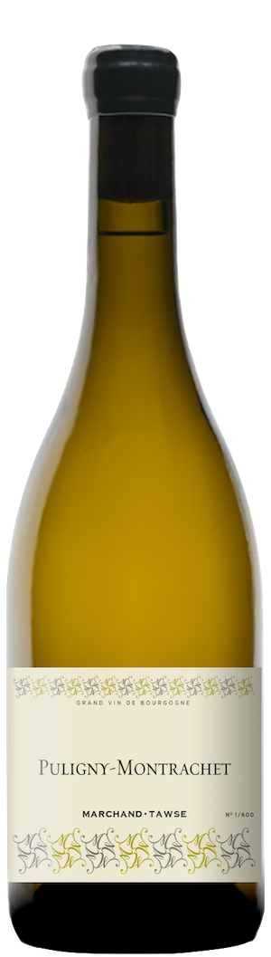 Marchand-Tawse Puligny Montrachet