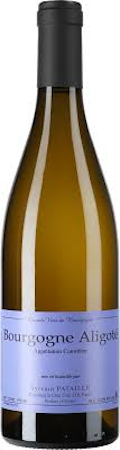 Domaine Sylvain Pataille Bourgogne Aligote Champ Forey Domaine Sylvain Pataille Bourgogne Aligote Champ Forey