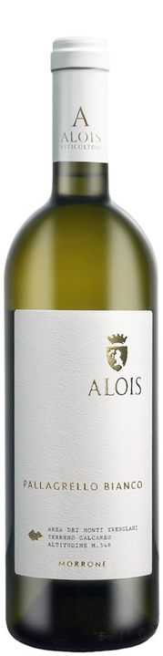 Michele Alois Pallagrello Bianco Morrone