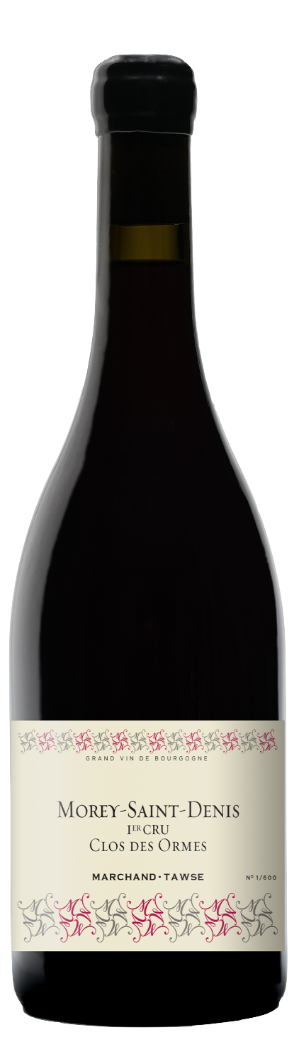 Marchand-Tawse Morey St Denis Premier Cru Clos des Ormes