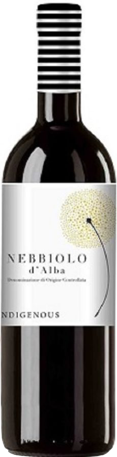 Indigenous Nebbiolo d'Alba