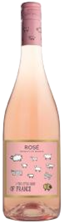 The Little Sheep Rose