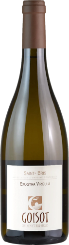 Guilhem et Jean-Hugues Goisot Saint-Bris Exogyra Virgula