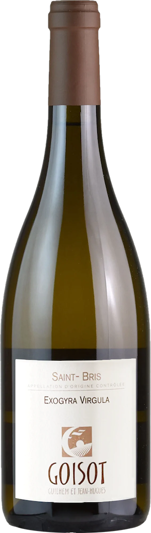 Guilhem et Jean-Hugues Goisot Saint-Bris Exogyra Virgula