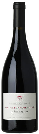 Domaine de l'Enchantoir Saumur Puy Notre Dame Le Pied A L'etrier