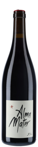 Jean Claude Lapalu Alma Mater VdF