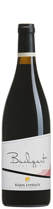 Klaus Lentsch Pinot Noir "Bachgart" Klaus Lentsch Pinot Noir "Bachgart"