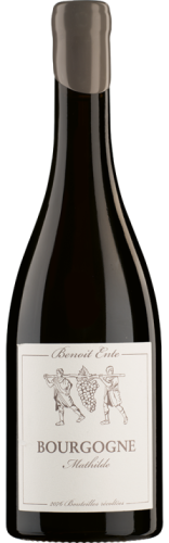 Benoit Ente Bourgogne Mathilde