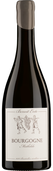 Benoit Ente Bourgogne Mathilde
