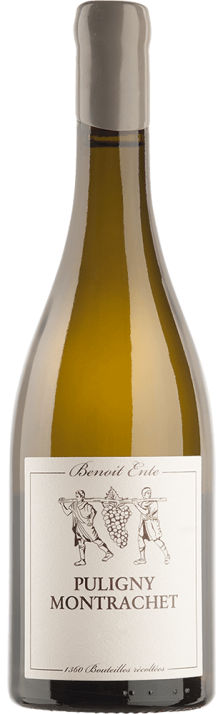 Benoit Ente Puligny Montrachet