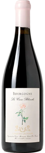 Charles Lachaux Nuits St Georges aux Argillas 2020 750ml - Buy