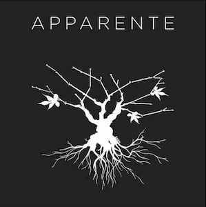 Puech Redon Rouge "Apparente" VdF Puech Redon Rouge "Apparente" VdF