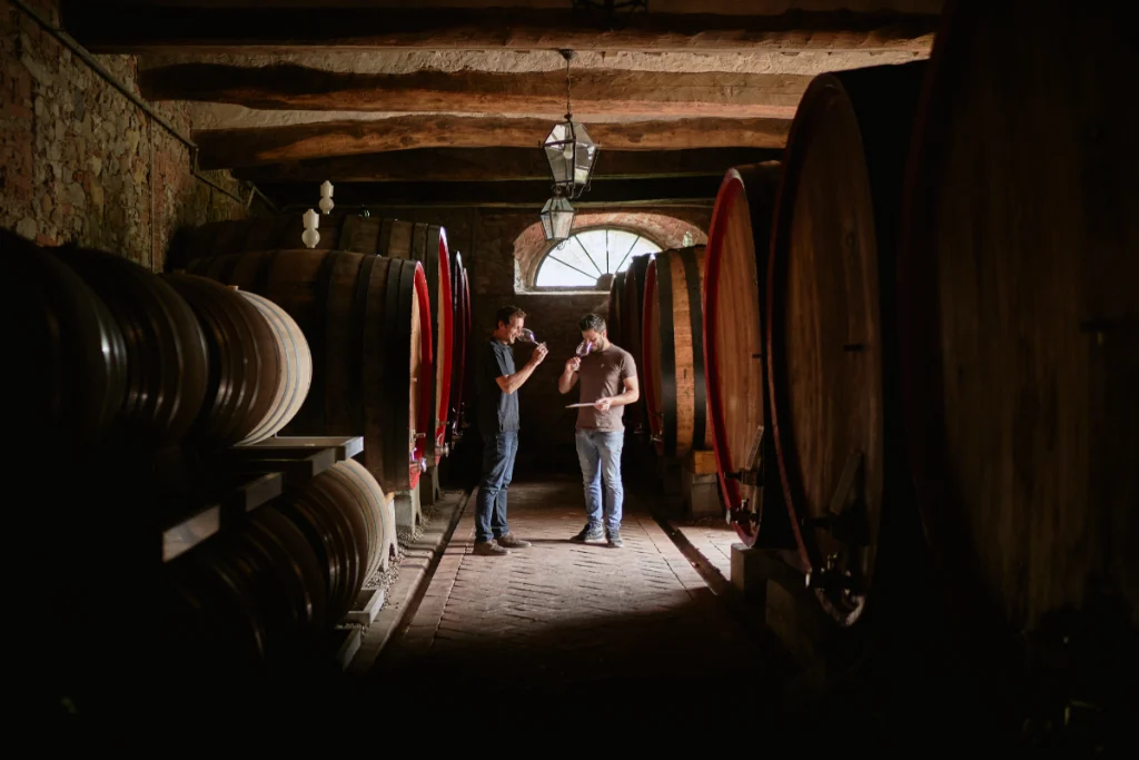 Castello Di Bossi logo winery