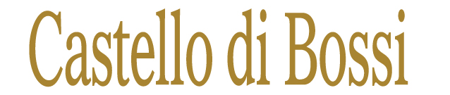 Castello Di Bossi logo