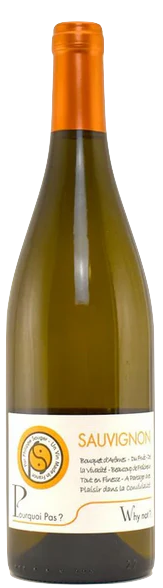 Domaine Sauger Sauvignon "Pourquoi Pas? Why Not?"