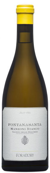 Foradori Manzoni Bianco Fontanasanta IGT