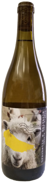 Moretti Omero Umbria Bianco "Nessuno"