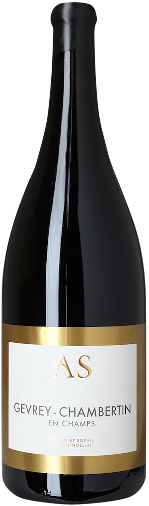 Arnaud Et Sophie Sirugue-Noellat Gevrey Chambertin En Champs