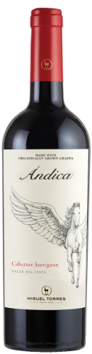 Miguel Torres Andica Cabernet Sauvignon