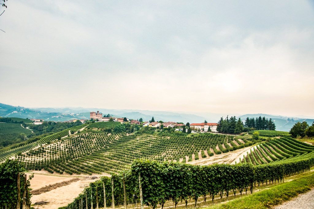 Damilano Vigneto Raviole vineyard