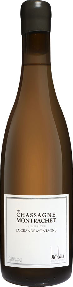 Lamy-Caillat Chassagne Montrachet 1er Cru la Grande Montagne