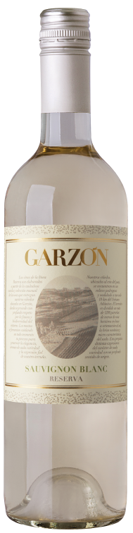 Bodega Garzon Sauvignon Blanc Reserva