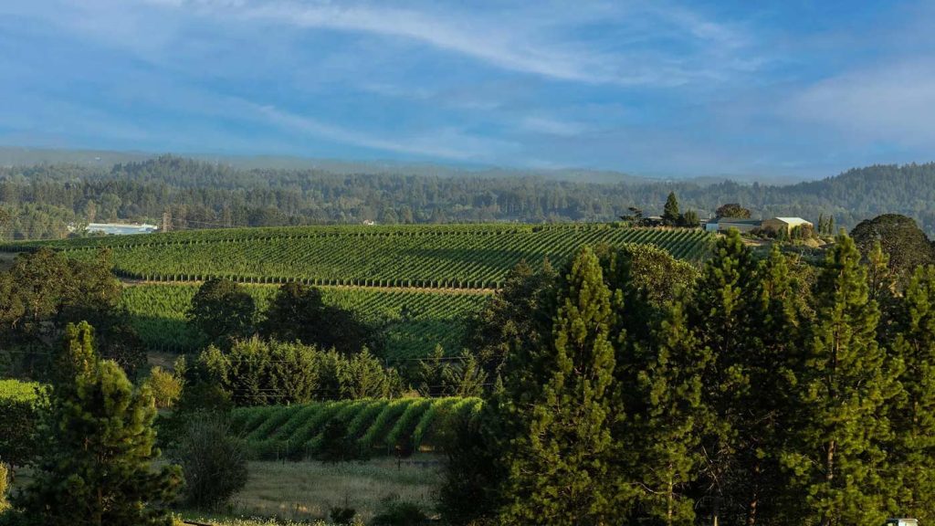 J Christopher estate