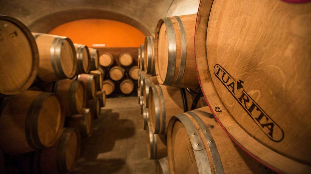 Tua Rita wine cellar