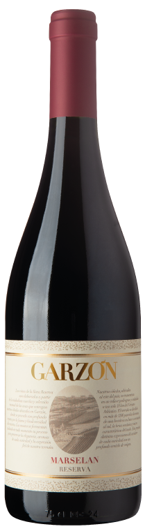 Bodega Garzon Marselan Reserva