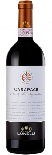 Tenute Lunelli Montefalco Sagrantino Carapace Tenute Lunelli Montefalco Sagrantino Carapace