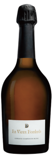 Doyard Coteaux Champenois Blanc "En Vieux Fombres"