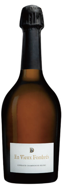 Doyard Coteaux Champenois Blanc "En Vieux Fombres"