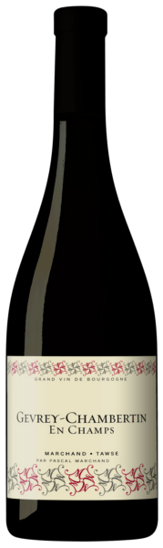 Marchand-Tawse Gevrey Chambertin en Champs