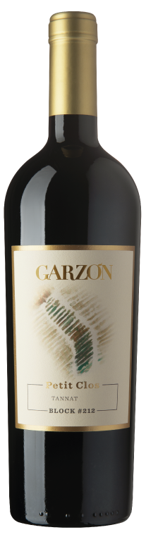 Bodega Garzon Tannat Reserva Petit Clos