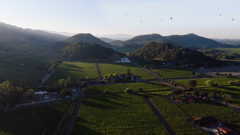 Cliff Lede Vineyards