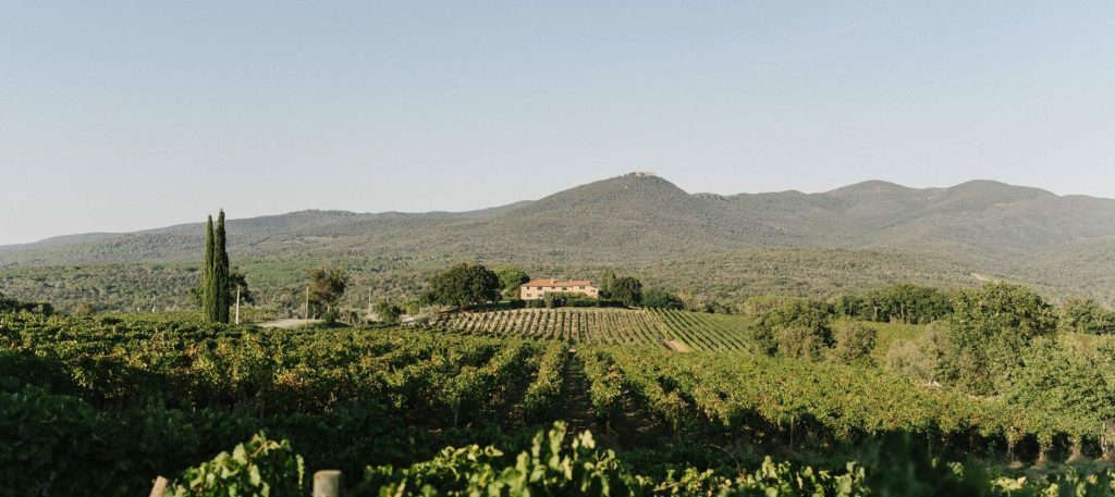 Grattamacco vineyard