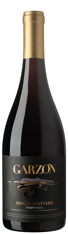 Bodega Garzon Pinot Noir Single Vineyard