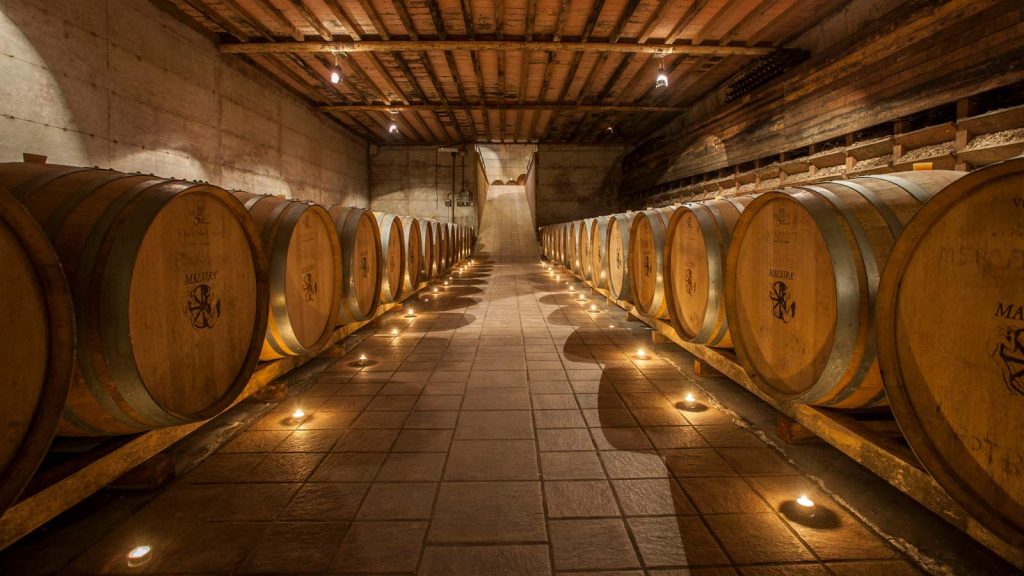 Malvira barrels in cellar
