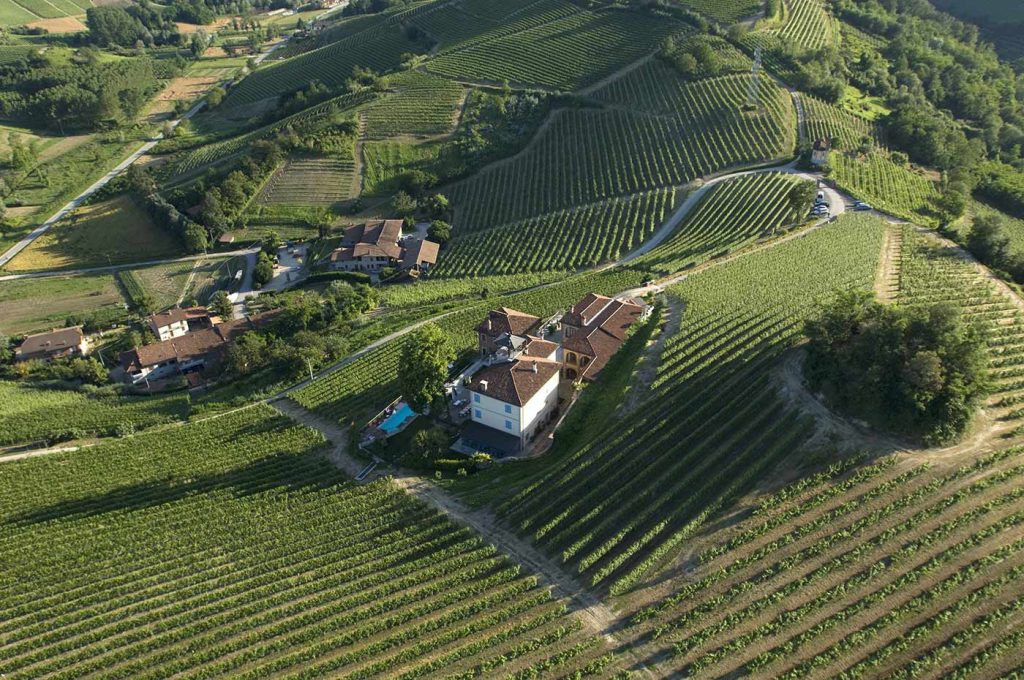 Malvira vineyard from above