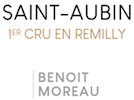 Benoit Moreau Saint Aubin Premier Cru en Remilly