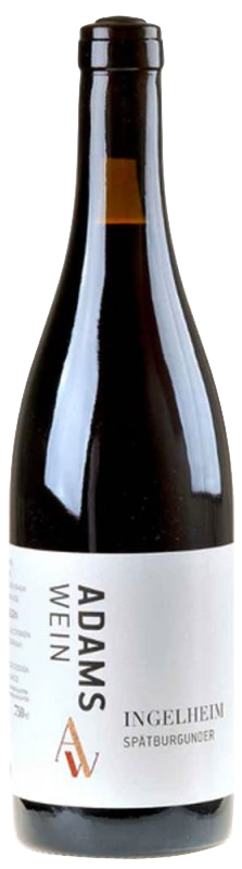 AdamsWein Spatburgunder Ingelheim