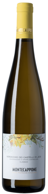 Montecappone Verdicchio dei Castelli di Jesi Classico DOC
