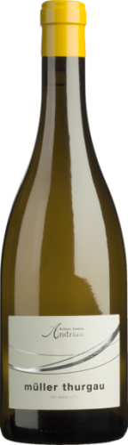 Andrian Muller Thurgau DOC