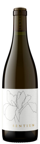 Sentium [By Chiara Mondavi] Sauvignon Blanc "Mendocino County"