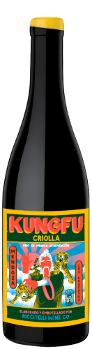 Matias Riccitelli Criolla "Kung Fu"