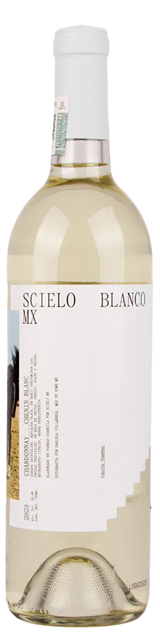 RGMX Scielo Blanco